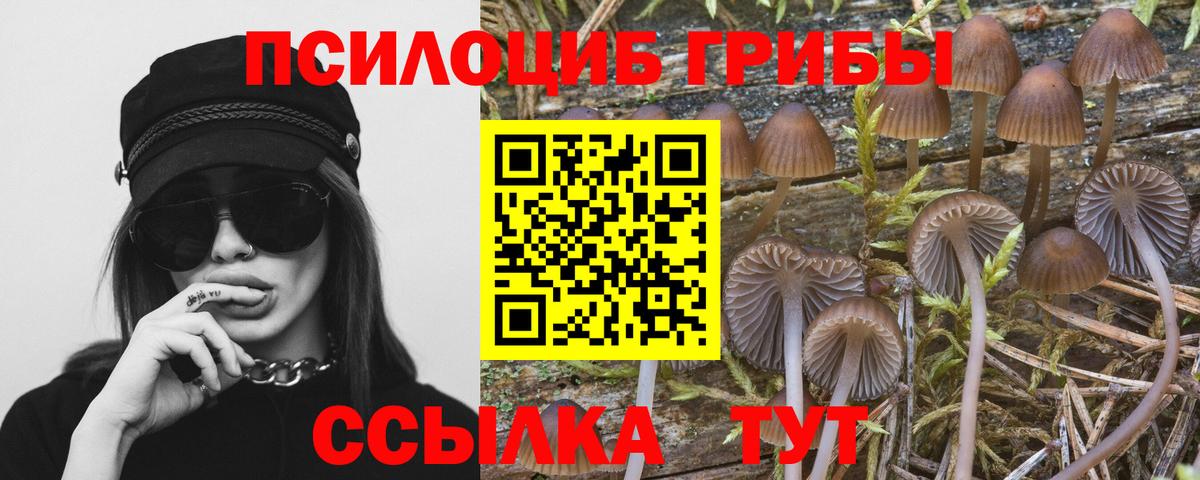 Саранск  Псилоцибиновые грибы прущие грибы  купить  сайты  Псилоцибиновые грибы ЛСД  Вход с VPN 